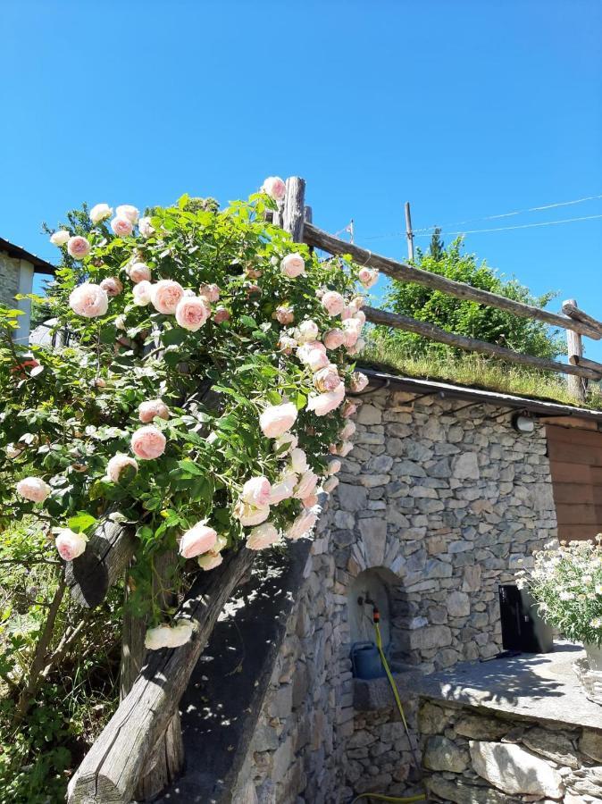 Affittacamere La Lea Roccaforte Mondovi Exterior photo